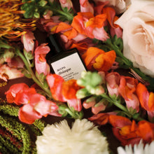 Load image into Gallery viewer, Accrodisiaque