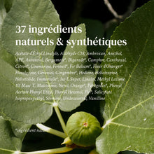 Load image into Gallery viewer, Sea, Sud & Sun