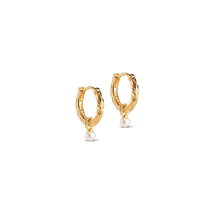 Load image into Gallery viewer, Belle Pearl Hoops
