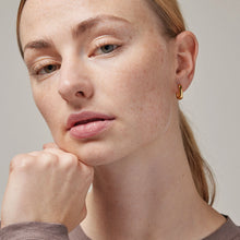 Load image into Gallery viewer, Square 15 mm Hoops Gold Plated