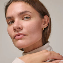 Load image into Gallery viewer, Ball Hoops Small Gold plated