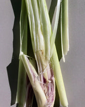 Load image into Gallery viewer, 112 Conditioner Lemongrass 240 ml