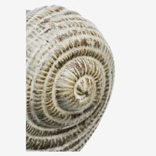 Load image into Gallery viewer, Stoneware conch
