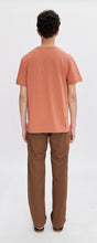 Load image into Gallery viewer, Standard T-shirt Grand VPC Terracotta
