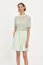 Load image into Gallery viewer, Fally shorts 13104 fog green