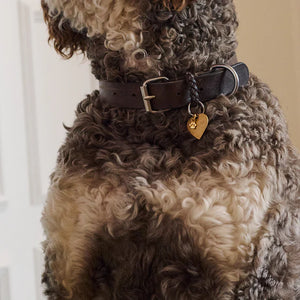 Sweet Paw Charm