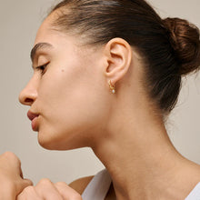 Load image into Gallery viewer, Belle CZ Hoops, White CZ
