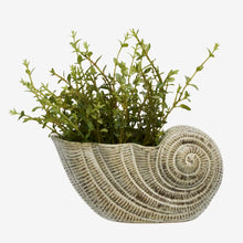 Load image into Gallery viewer, Stoneware conch
