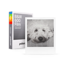 Load image into Gallery viewer, Polaroid 600 Film
