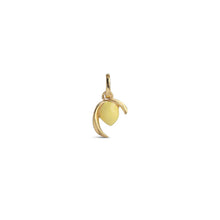 Load image into Gallery viewer, Lively Lemon Charm
