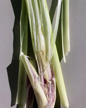 Load image into Gallery viewer, 312 Body Oil Lemongrass 120 ml
