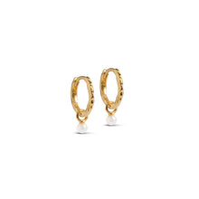 Load image into Gallery viewer, Belle Pearl Hoops Gold
